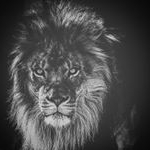 Profile Picture of JAI  SHANKAR  SINGHA  ROY (@_drummer_jai__) on Instagram