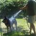 Profile Picture of Kyle Deter (@krdeter) on Pinterest