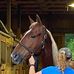 Profile Picture of Cheryl McKisic (@cheryl.mckisic.73) on Facebook