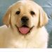 Profile Picture of Abel Joseph (@able.joseph.902) on Facebook