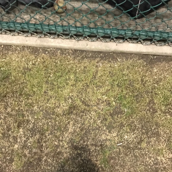 Jason Nunes - Poshmark Profile Picture of Jason Nunes (@jnuned) on Poshmark