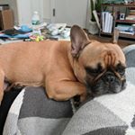 Profile Picture of John Reeves (@jjairoreeves) on Instagram