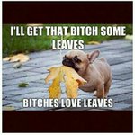 Profile Picture of Harold Demory (@harolddemory) on Instagram