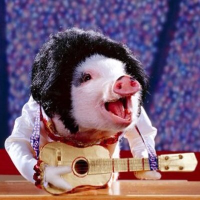 Profile Picture of Damien Fagan (@kizmet74) on Twitter