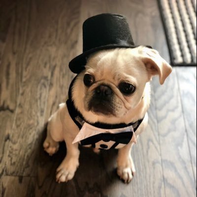 Profile Picture of Joel Kreider (@banchiil) on Twitter