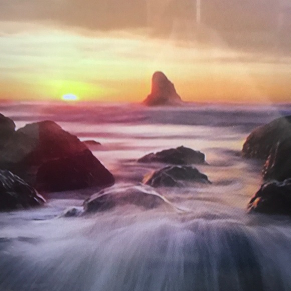 Profile Picture of Alexia Thomas (@alexiathomasmiv) on Poshmark