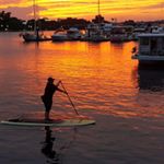 Profile Picture of Kelly Simon (@districtpirate) on Instagram