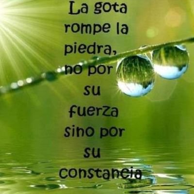 Profile Picture of Andrea Y Antonio (@Andrea60851323) on Twitter