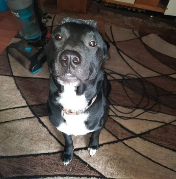 Profile Picture of Chad Prince (@chadp2084) on Poshmark