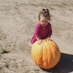 Profile Picture of Brooke Hepburn (@kingsburybranchfarm) on Instagram