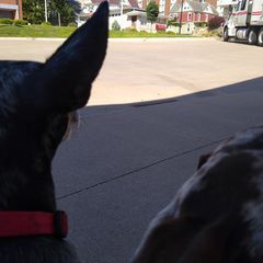 Profile Picture of audreygrosvenor402 (@audreygrosvenor402) on Tiktok