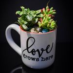 Profile Picture of Starla Walker (@starstuddedgifts) on Instagram