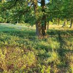 Profile Picture of Steven Henkel (@root73ch) on Instagram