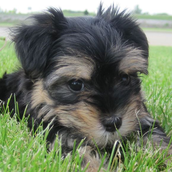 Sarah Fishbune - Poshmark Profile Picture of Sarah Fishbune (@salynch2) on Poshmark