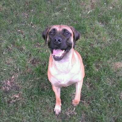 Profile Picture of Max Magnussen (@MaxMagnussen) on Twitter