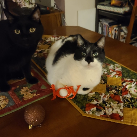 Crystal Gartner - Poshmark Profile Picture of Crystal Gartner (@bettyboop5555) on Poshmark