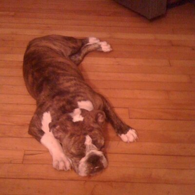 Aaron Teegarden - Twitter Profile Picture of Aaron Teegarden (@tacehigh) on Twitter