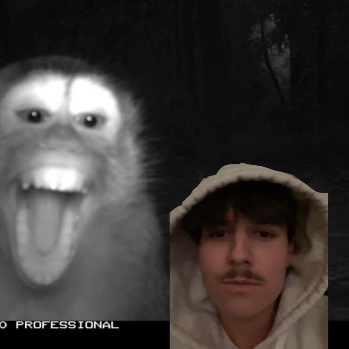 Profile Picture of   ｂｌｉｔｚｚ (@adam.karchmer)... (@adam.karchmer) on Tiktok
