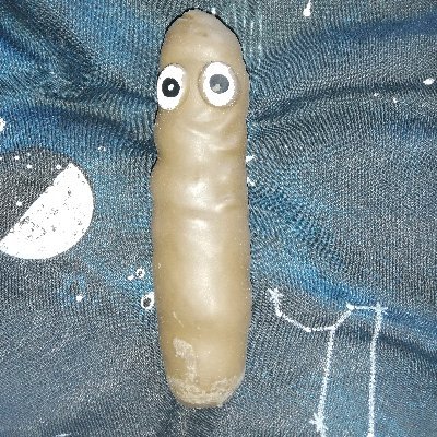 Profile Picture of Steve Rains (@SteveRains15) on Twitter