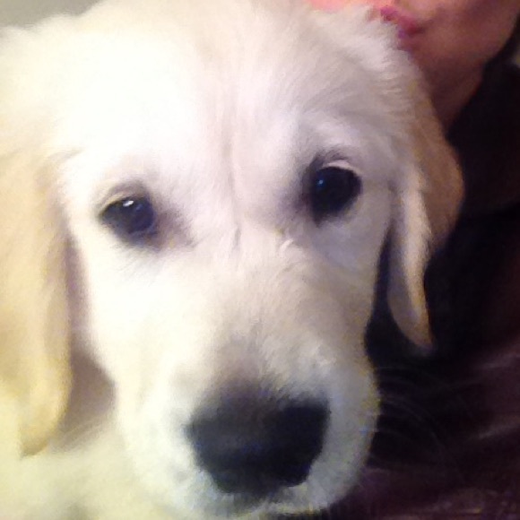 Profile Picture of Andrea Moore (@jmoamo) on Poshmark