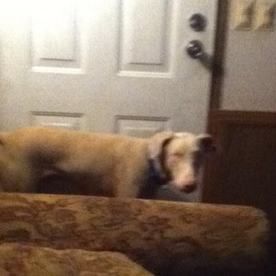 Profile Picture of Kenneth Cummings (@tarafan38) on Twitter