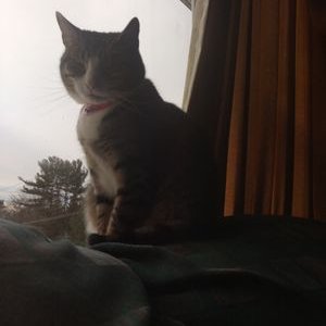 Profile Picture of Greg Burnham (@Swagbro543) on Twitter