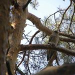 Profile Picture of Bert Carreira (@30uqkxiza) on Instagram