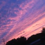 Profile Picture of -alli 🎃🍂 (@sorciereautomne) on Instagram