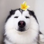 Profile Picture of Ngan Nguyen (@katheryn_ngan_nguyen) on Instagram