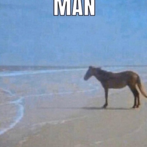 Profile Picture of Adilene Sanchez (@adilenesanpon) on Poshmark