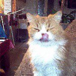 Profile Picture of animals from the world (@benjamindittmann) on Instagram