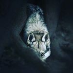 Profile Picture of chris childress (@chris_166) on Instagram
