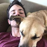 Profile Picture of Jared Geer (@jared-geer-3) on Quora