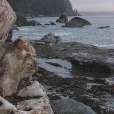 Profile Picture of Jeff Kim MacMillan (@jeffnkim) on Twitter