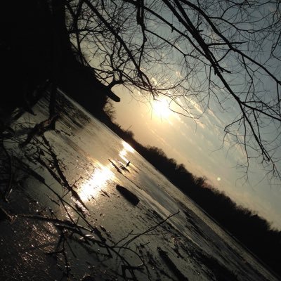 Profile Picture of Lukehummel07 (@lukehummel07) on Twitter