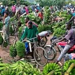 Profile Picture of Mike Otieno Ouma (@Mike-Otieno-Ouma) on Facebook