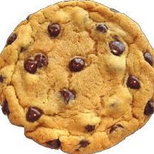 Profile Picture of Shawn Gantz (@shawn_gantz) on Twitter