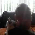 Profile Picture of Tony Haddock (@tonyhaddock) on Instagram