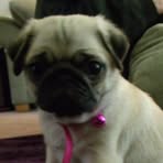 Profile Picture of Gary Mcevers (@gmcevers) on Facebook