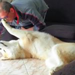 Profile Picture of roberta.marelli (@roberta.marellii) on Instagram