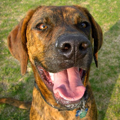 Profile Picture of Martin Blaise (@BlaiseMartin1) on Twitter