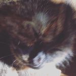 Profile Picture of Jimmy Schmidt (@i.blanked_private) on Instagram