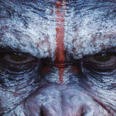 Profile Picture of Oscar Manuel Pinto (@manupi5) on Twitter