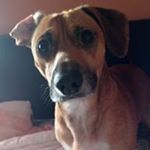 Profile Picture of Scott Mcquillan (@scott.mcquillan.7146) on Instagram