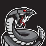 Profile Picture of Zach (@austinrattlers) on Instagram