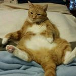 Profile Picture of Vicky Holcomb (@vickymholcomb) on Instagram