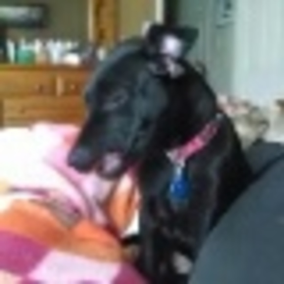 Profile Picture of Buxton Burness (@ecwik814) on Poshmark