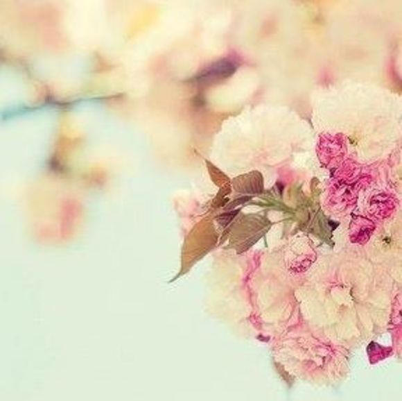 Profile Picture of Thikrayat Alawami (@thikrayt) on Poshmark