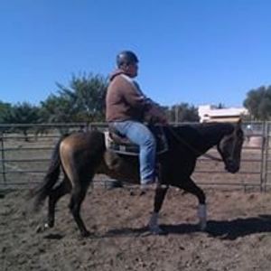 Profile Picture of Robert Stroud (@robert.stroud.353) on Myspace