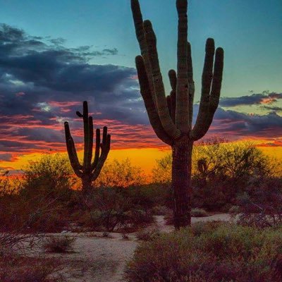 Profile Picture of Pamela Van Winkle (@WinklePamela) on Twitter